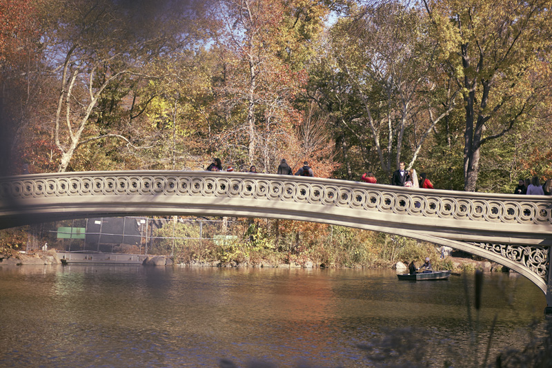 central park bridge