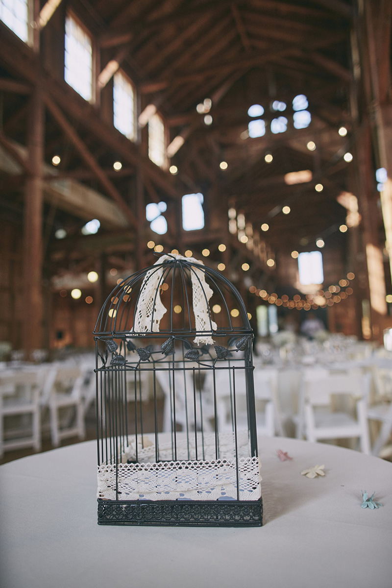 wedding gift bird cage