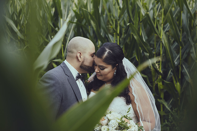 corn wedding photos