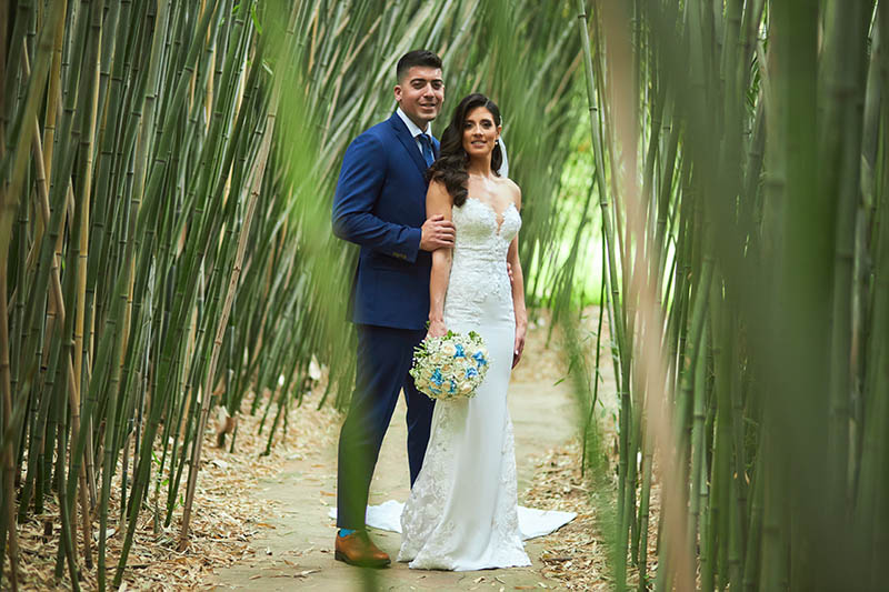 Groom holding bride from behind in bamboo forest