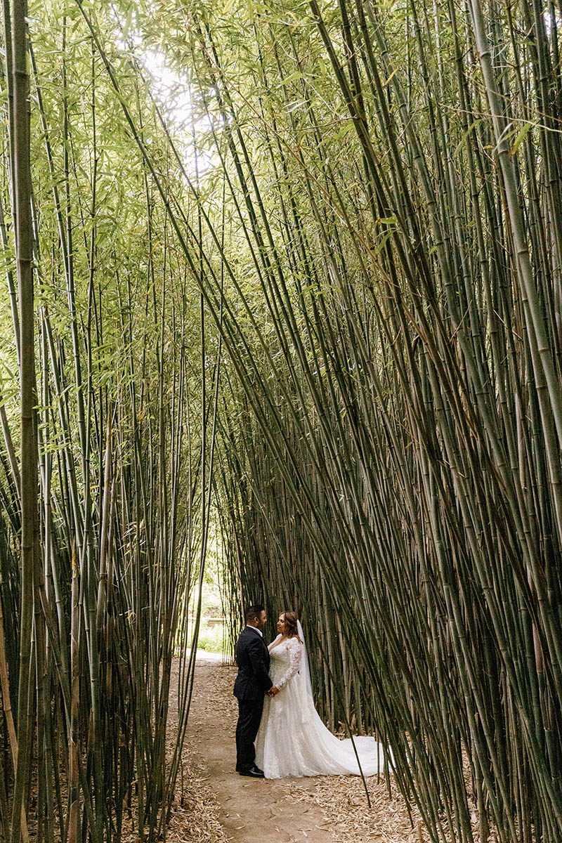 Bamboo forest wedding portrait