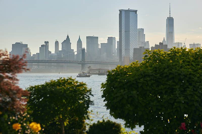 Downtown Manhattan skyline