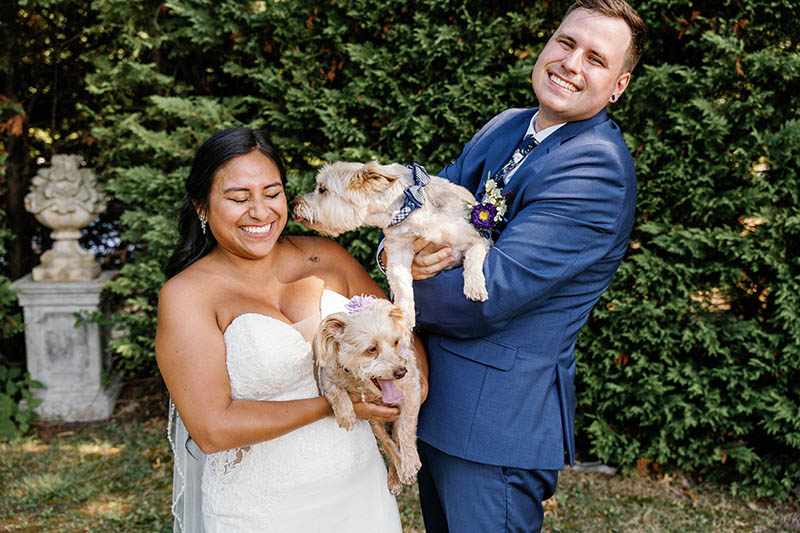 Bride and groom portrait with dogs